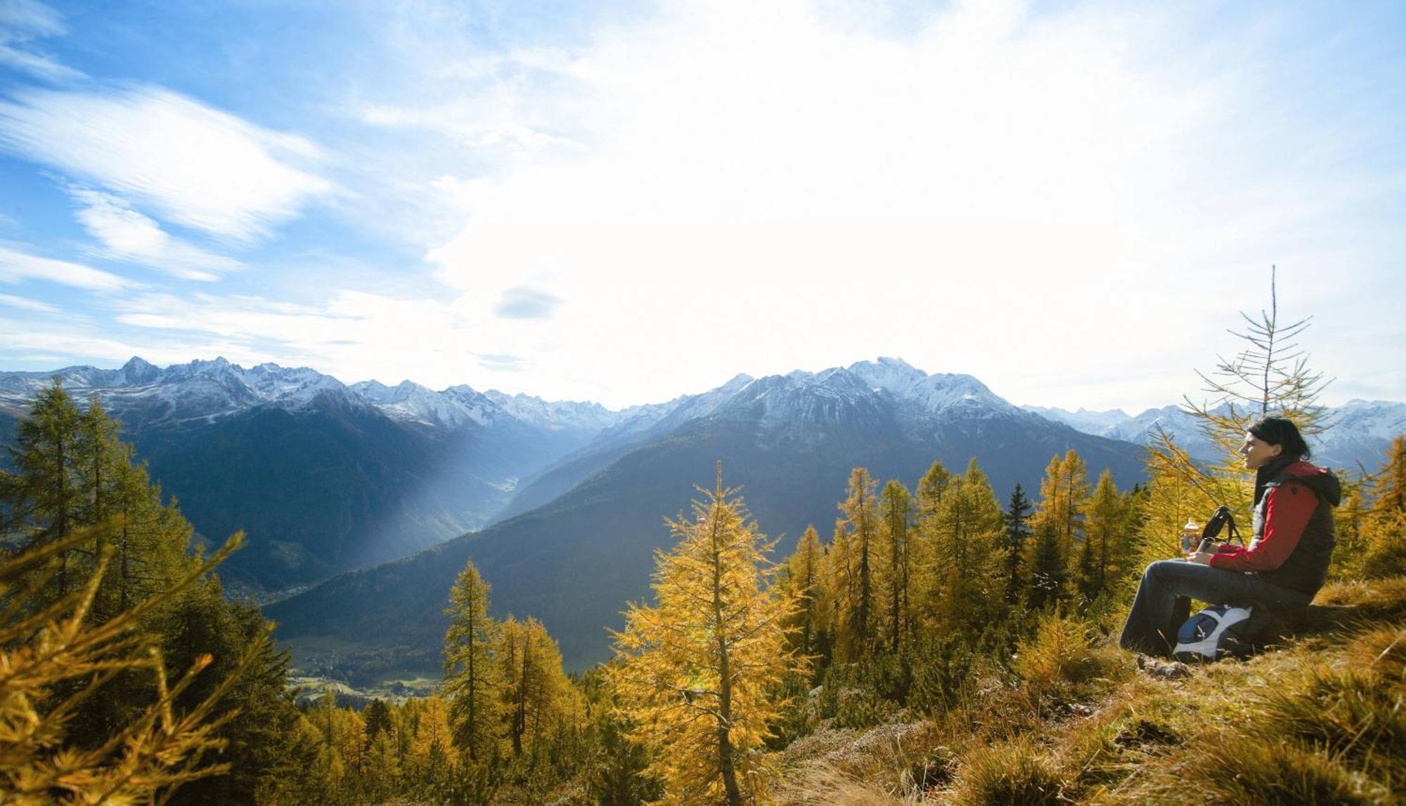 Hotel Alpina Nature-Wellness Веннс Экстерьер фото